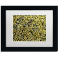 Zaštitni znak likovne umjetnosti 'morske alge' platnena umjetnost Nicole Dietz, bijela mat, crni okvir