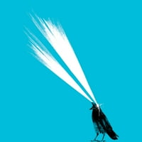 Laser Crow Mens tirkizno plava grafička majica - Dizajn ljudi L