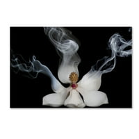 Zaštitni znak likovna umjetnost 'Pušenje magnolije' platna umjetnost Lori Hutchison