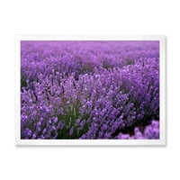 DesignArt 'Blooming Purple Lavander Meadow' Farmhouse uokvireni umjetnički tisak