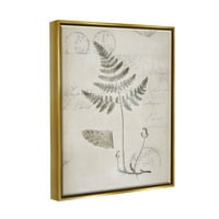 Studell Industries Antique Fern Woodland Studija biljke Botanički i cvjetni crtež zlatnim plutama uokvirenim umjetničkim