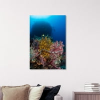 Wynwood Studio Nautical and Coastal Wall Art Canvas Otisci 'Sea Krait David Fleetham' Marine Life - Plava, ružičasta