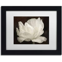 Zaštitni znak likovna umjetnost 'White Tulip III' platno umjetnost Cora Niele, bijela mat, crni okvir