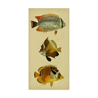 Zaštitni znak likovna umjetnost 'Trio of Tropical Fish II' Canvas Art by Vision Studio